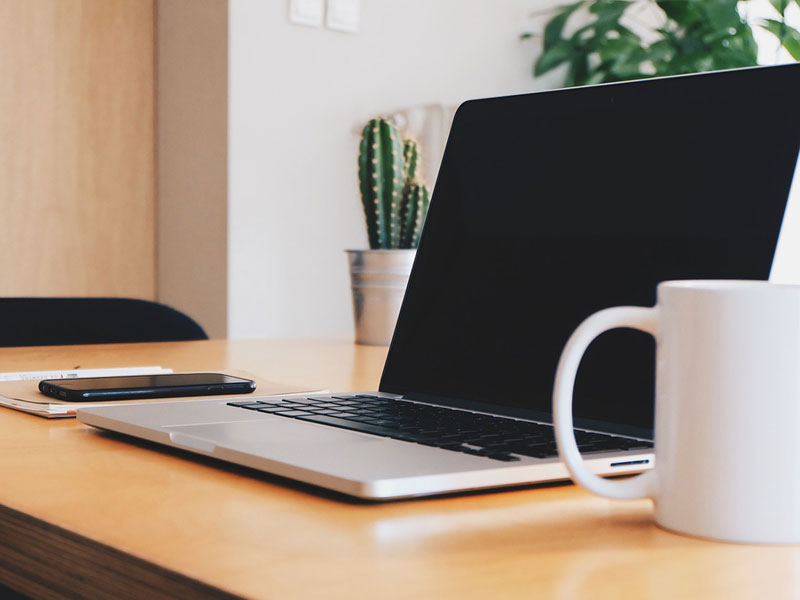 Coming Soon: FLN Lunch & Learn Webinar Series