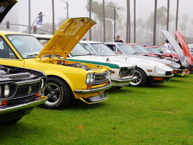 Cars on display at meetup